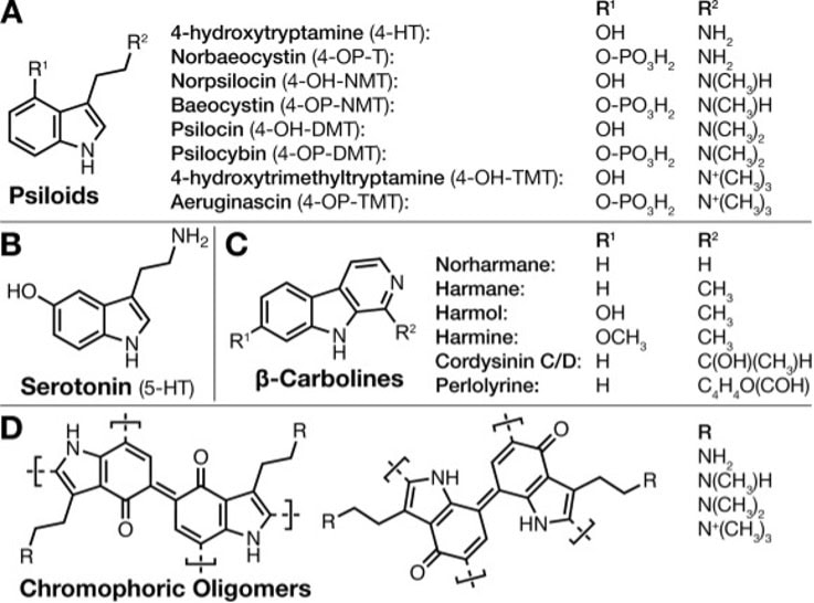 Summary table of psilocybin therapeutic applications and adverse effects