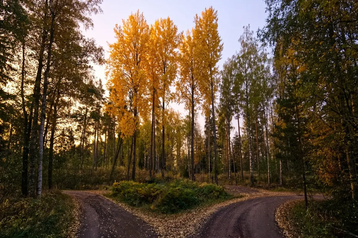 Are Psychedelic Retreats Right for Me? The 10 Signs to Look For