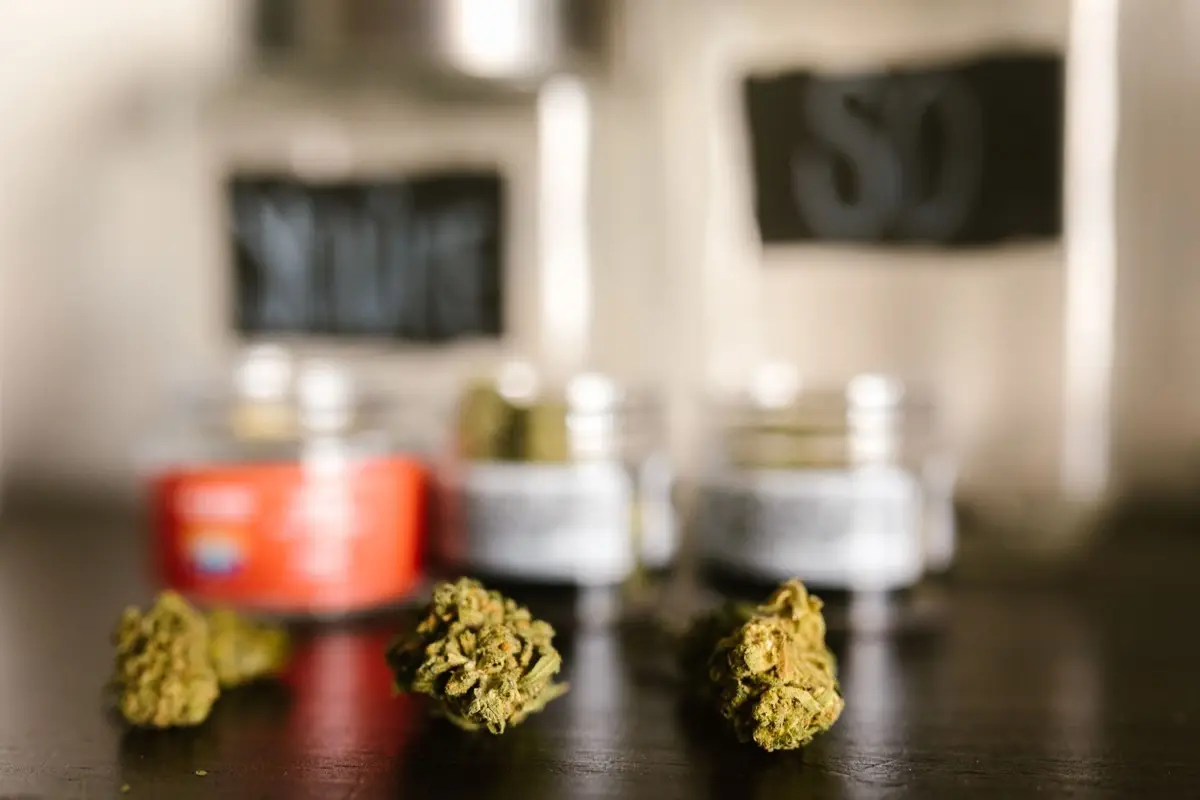Medical cannabis vs psilocybin truffles in Dutch law: side by side