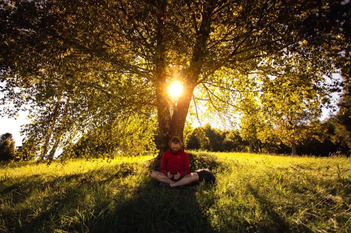 Sun exposure and psilocybin outdoors: heat, perception, and safety