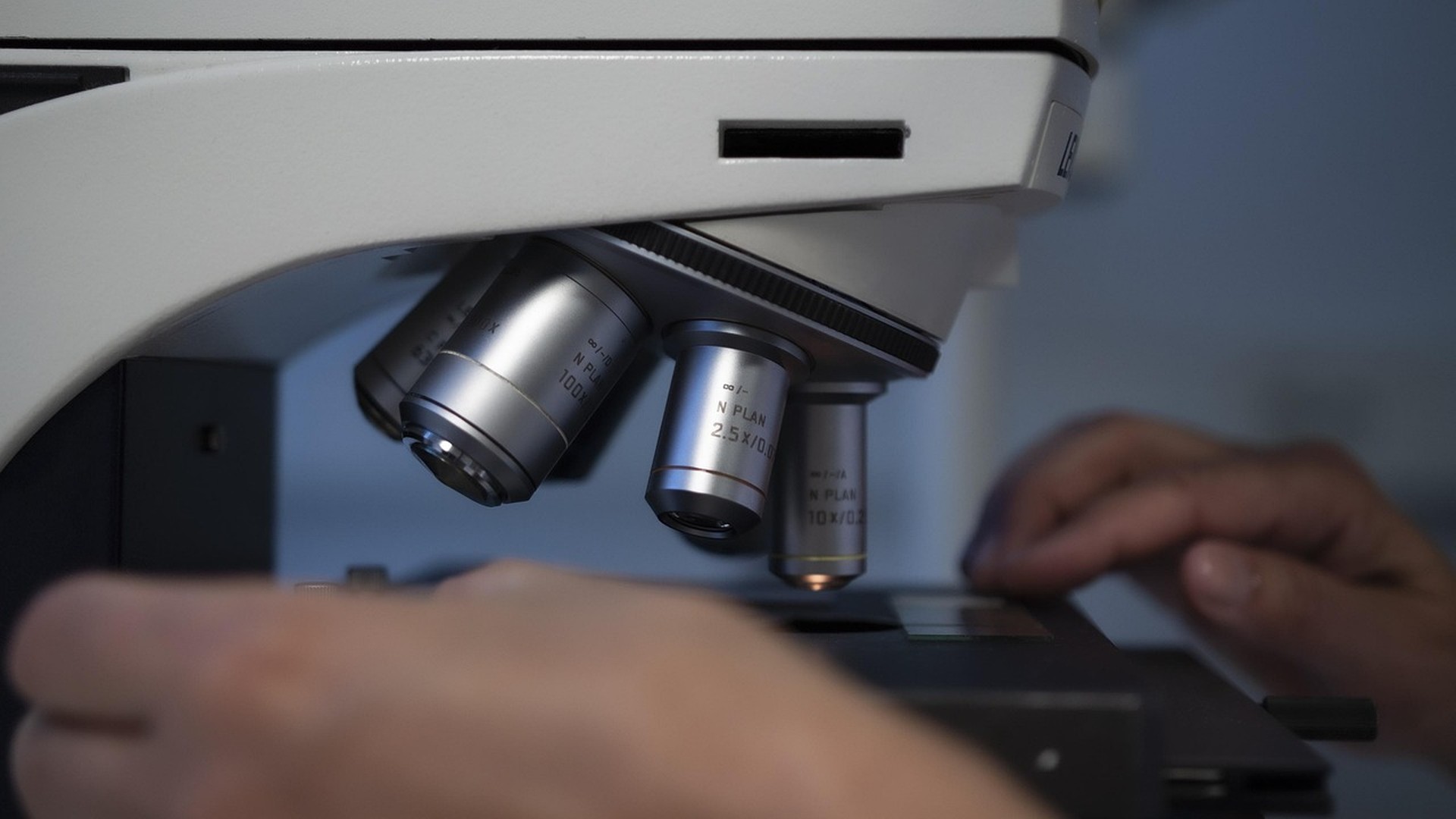 HPPD and psilocybin: prevalence, symptoms, and what the literature says