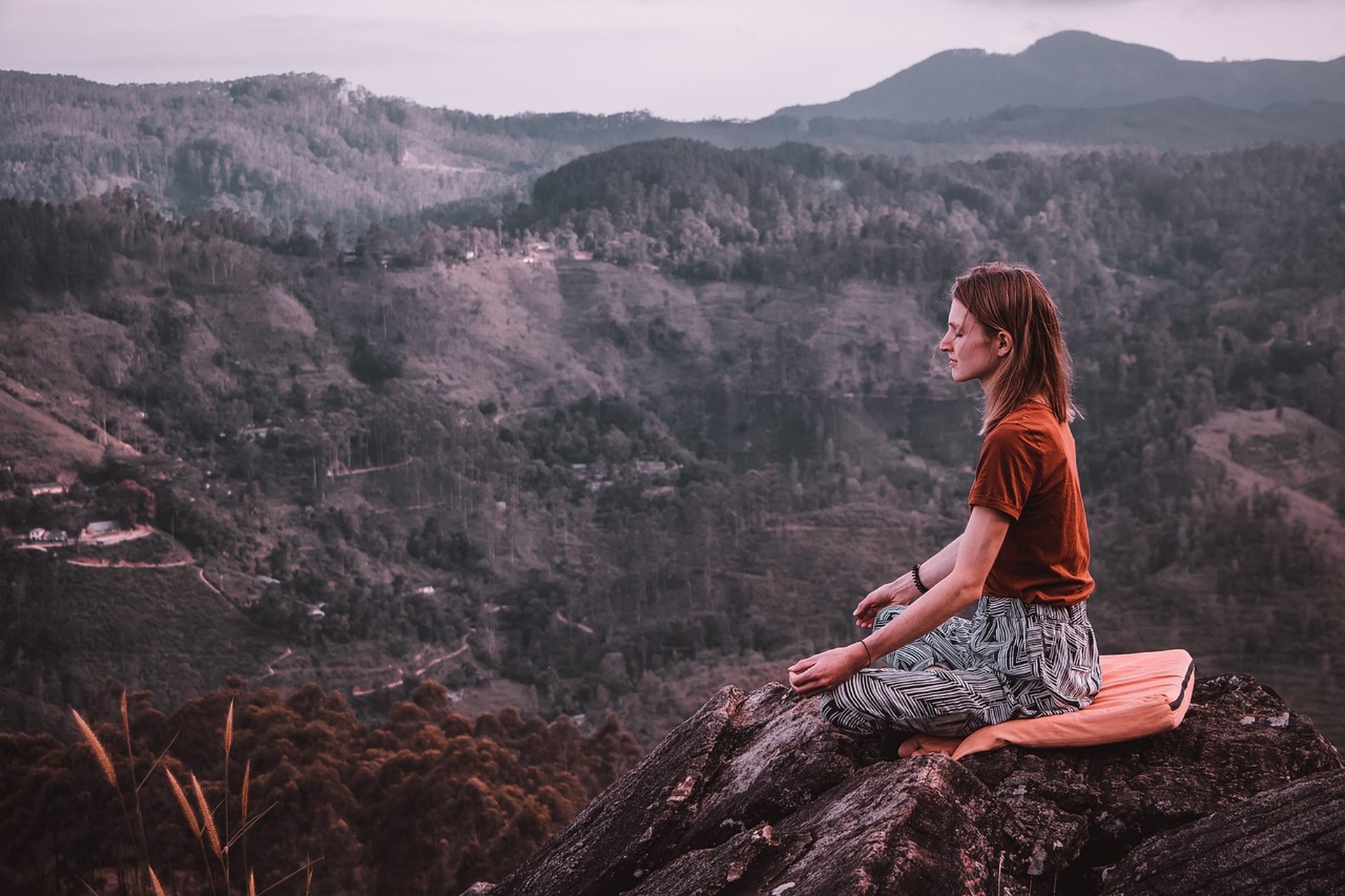 SSRI and psilocybin: why tapering decisions belong with your doctor
